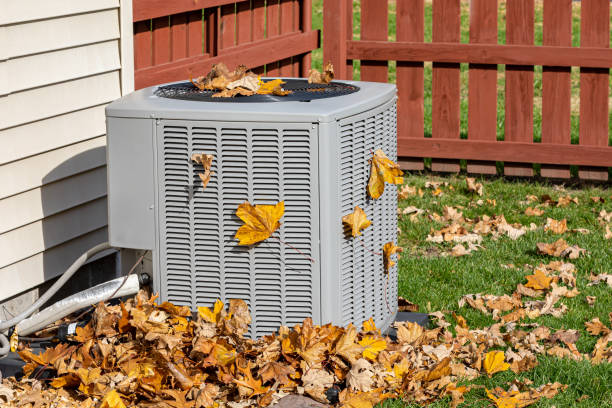 Best HVAC air duct cleaning  in Nsfield Center, MA
